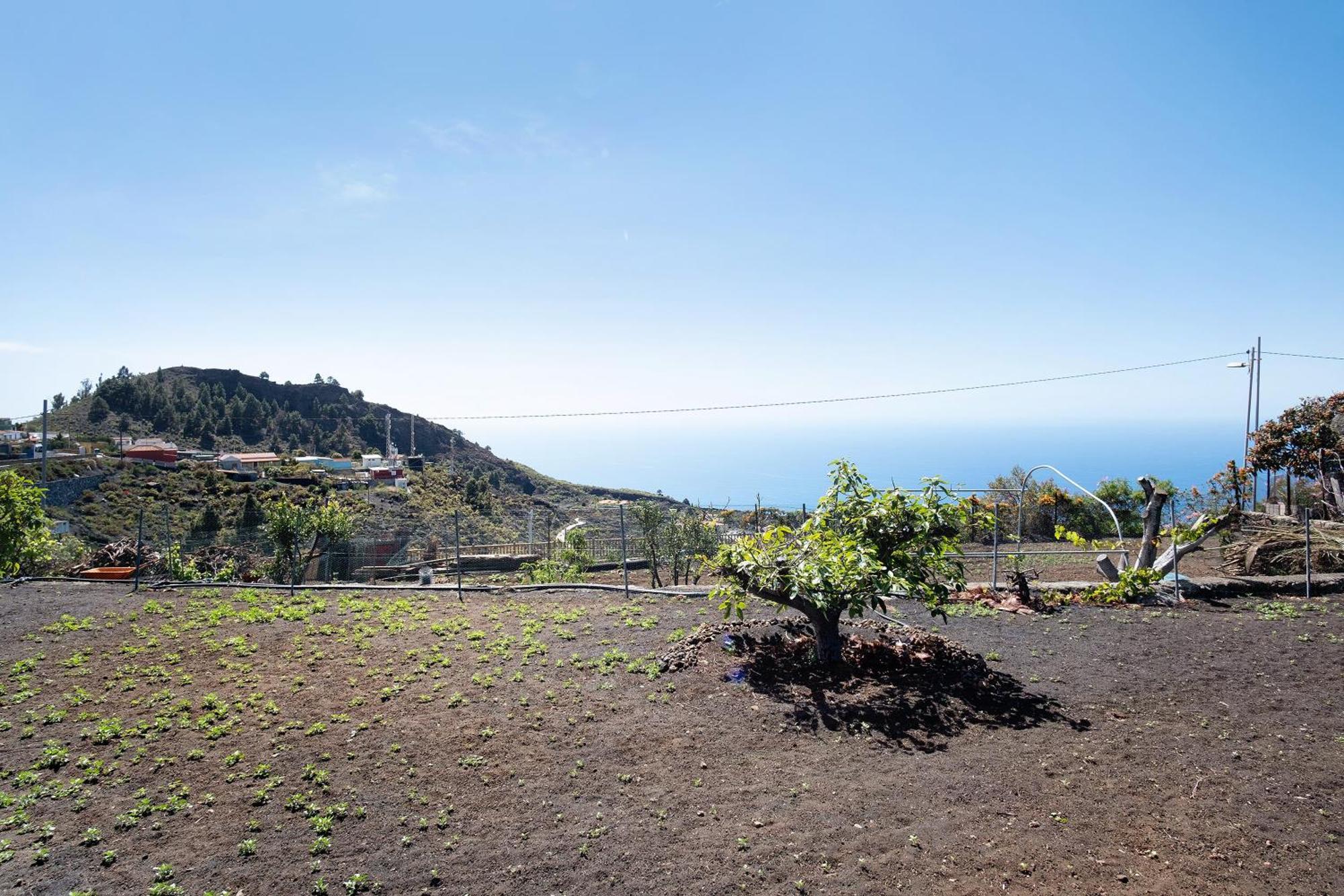 Casa La Podona- A Villa Jedey Dış mekan fotoğraf