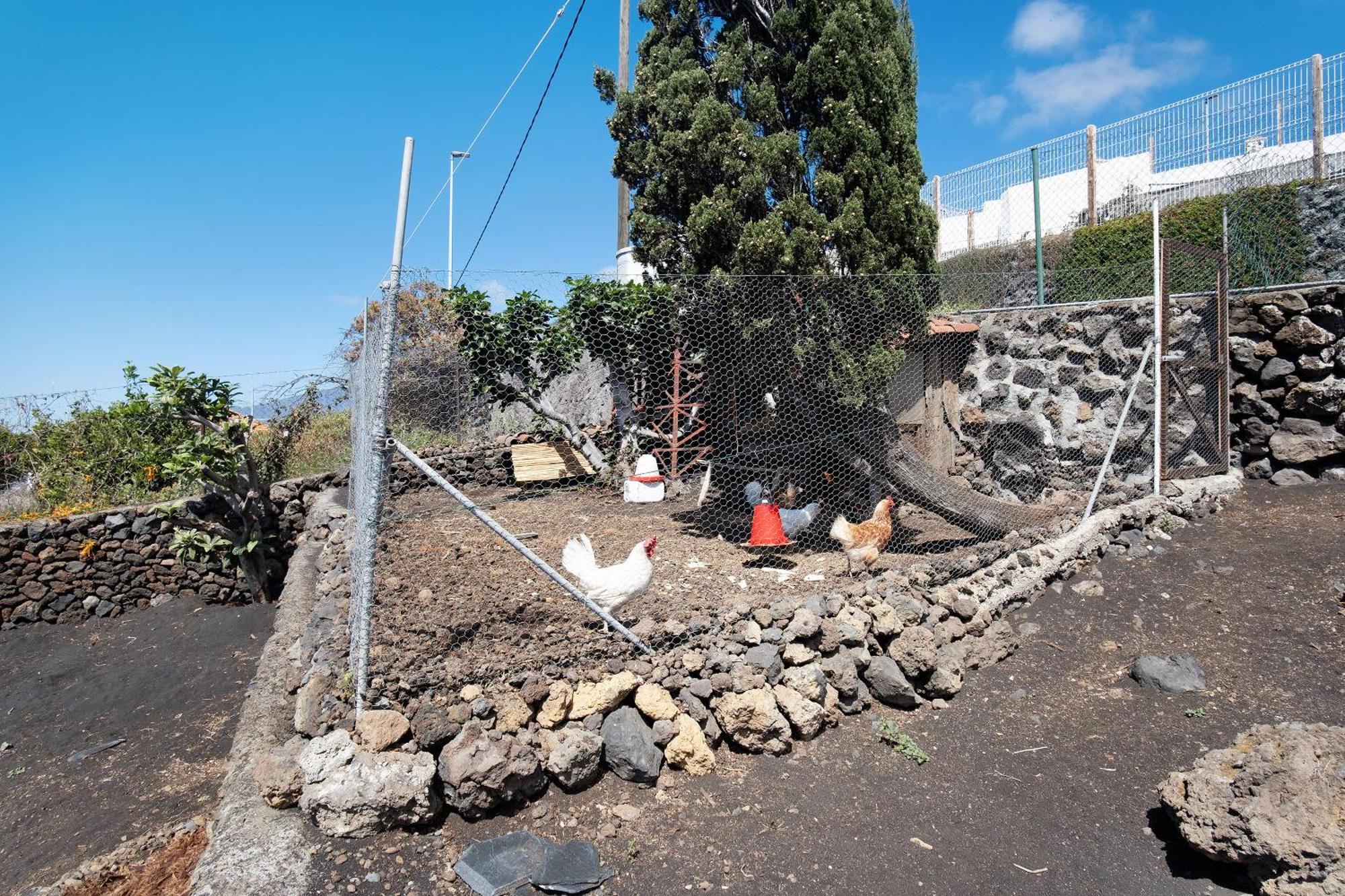 Casa La Podona- A Villa Jedey Dış mekan fotoğraf