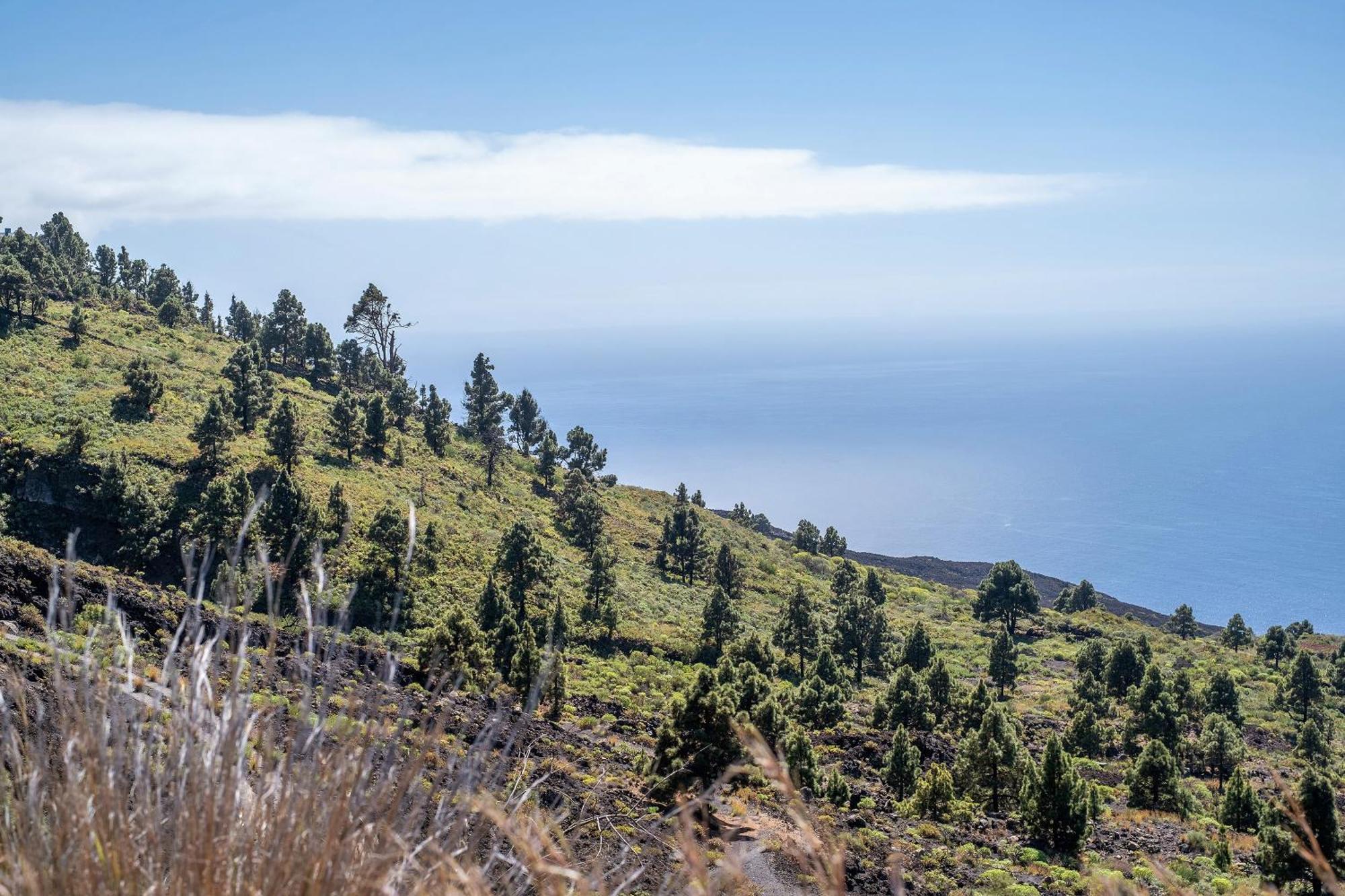 Casa La Podona- A Villa Jedey Dış mekan fotoğraf